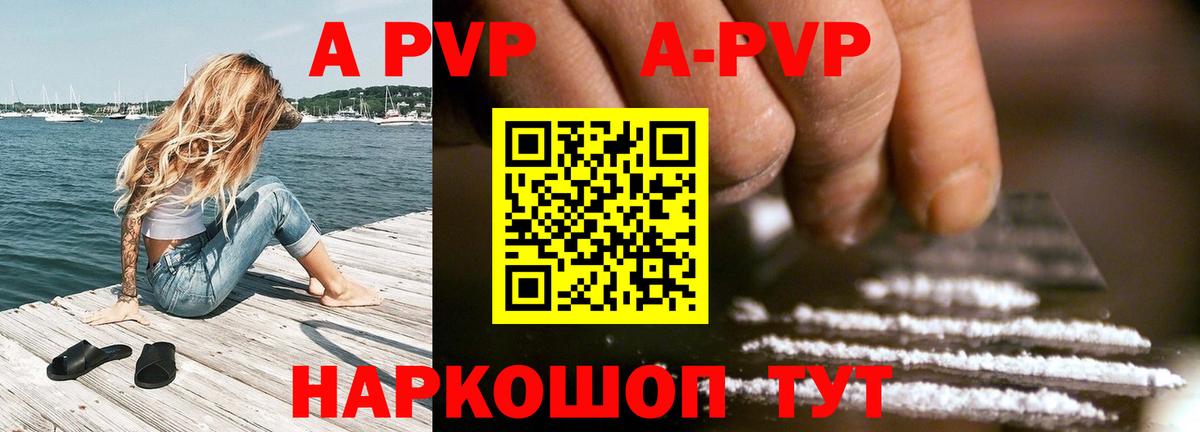 Alfa_PVP СК КРИС Бердск
