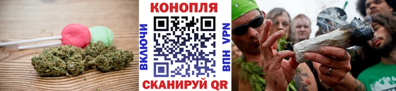 что такое наркотик  kraken сайт  Cannafood конопля  Бердск 