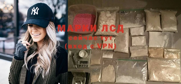 прущие грибы Алзамай