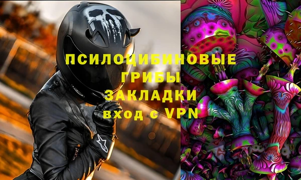 прущие грибы Алзамай