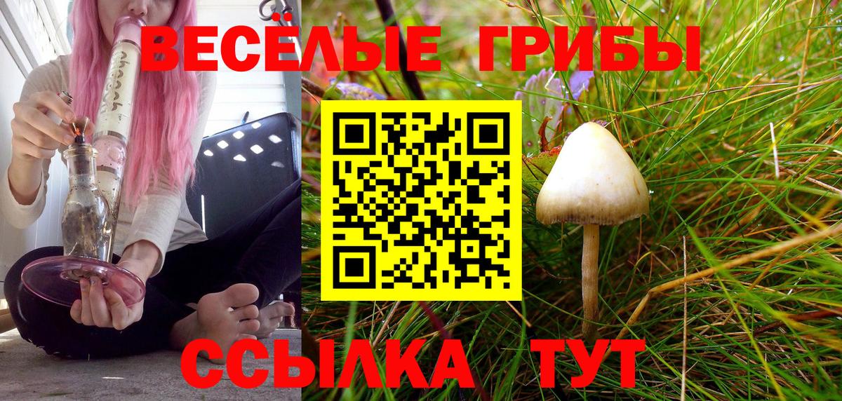 Псилоцибиновые грибы GOLDEN TEACHER Бердск